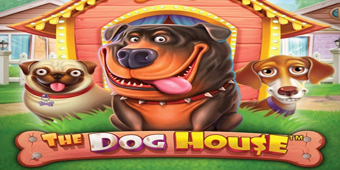Tips Menang Besar Saat Bermain Slot The Dog House